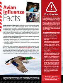 Avian flu facts