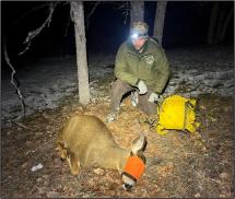 Jacobsen with an immobilized, blinded deer