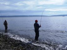 Pink salmon fishing from shore