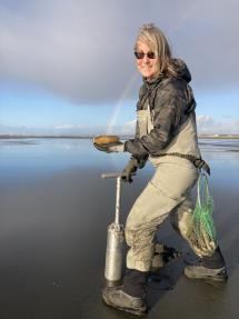 Razor clamming in Copalis