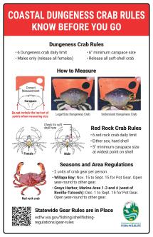 Crabbing 101 — Rain or Shine Guides