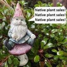Native plant sale gnome