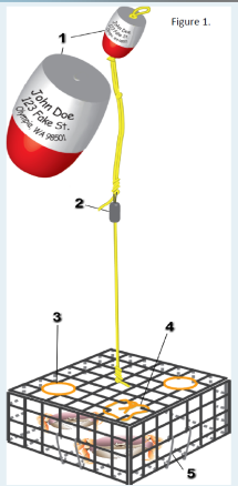 Crab buoy graphic