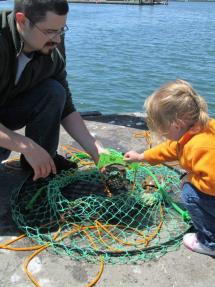 Man and child look over a crab net