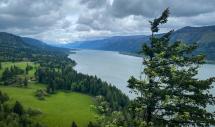View from a height of the Columbia River with green hills and forested banks