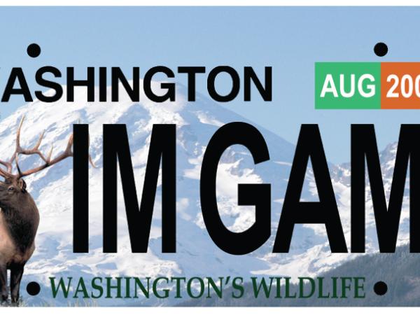 Elk license plate