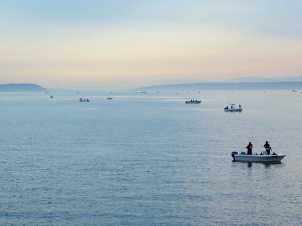 Many anglers fishing from small boats in the central Puget Sound