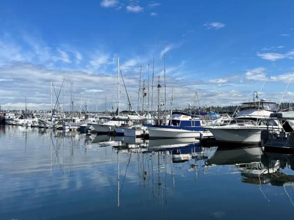 Many commercial fishing boats tied up at docks in a marina