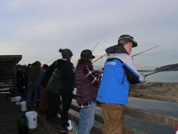 Several anglers jigging for squid from a pier