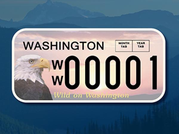 Graphic showing a sample of a license plate with an eagle design. 
