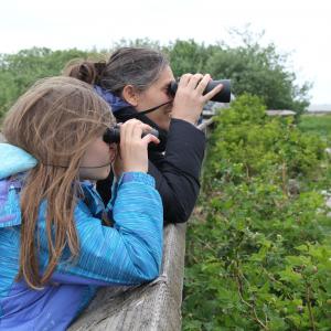Mother and daughter look for shorebirds using binoculars at Grays Harbor Shorebird Festival