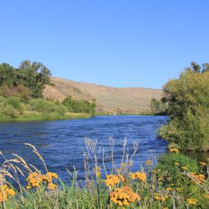 Yakima River in the autumn
