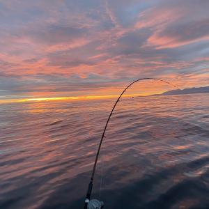 Sunrise over open water with fishing rod in center