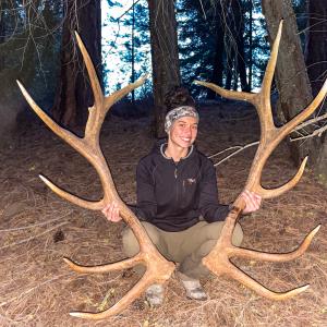A woman poses behind a complete set of 6-point elk antlers in a stand of trees.