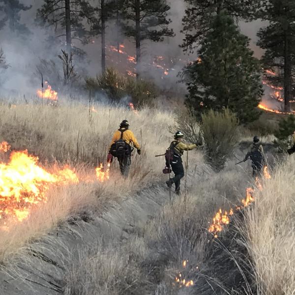 WDFW crews are shown working a prescribed fire