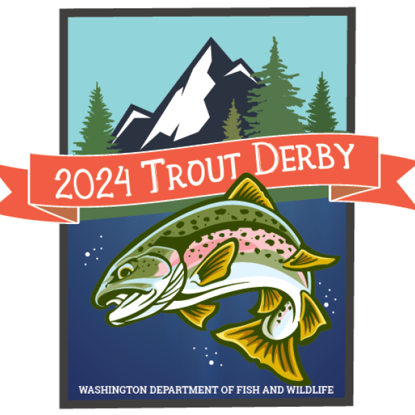 Logo for the 2024 WDFW trout derby.